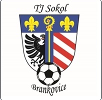 TJ Sokol Brankovice B