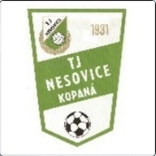 TJ Nesovice A