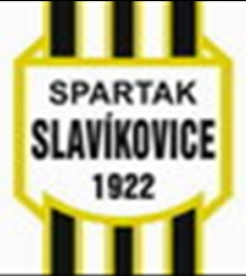 TJ Spartak Slavíkovice